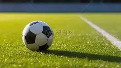 东京奥运盛典或于2025年7月23日盛大启幕